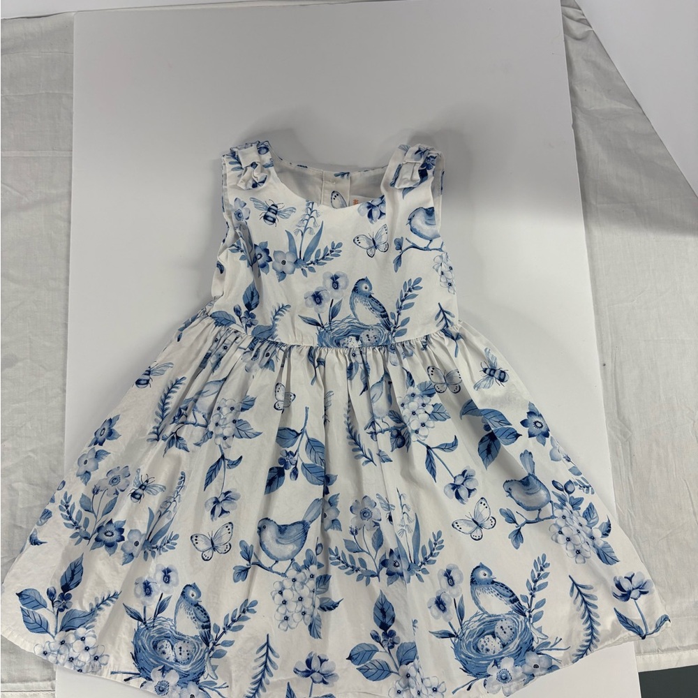 Gymboree Blue and White Floral Bird Dress